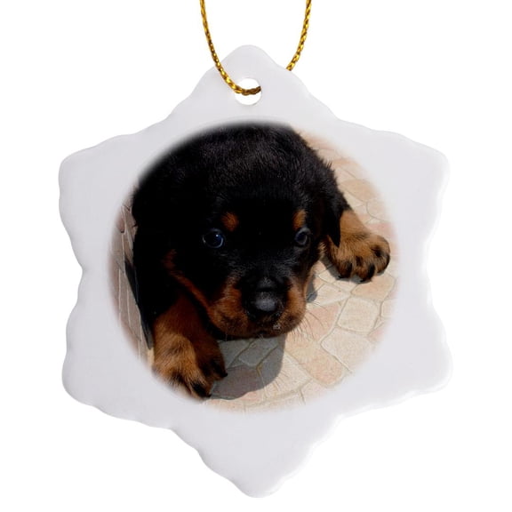 3drose, Dog Rottweiler Puppy, 3 inch Snowflake Porcelain Ornament