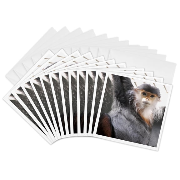 3drose, Douc Langur Monkey, 12 Greeting Cards with Envelopes