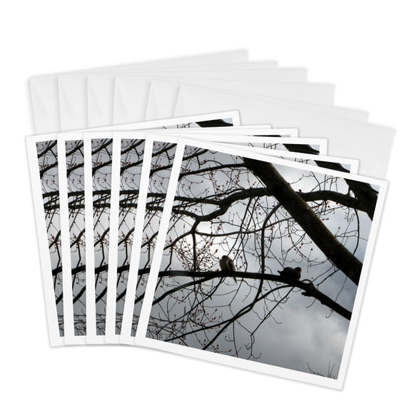 3drose, Dove on a Branch, 6 Greeting Cards with Envelopes