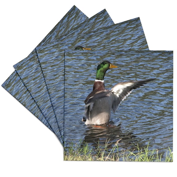 3drose, Drake, Male Mallard Duck, Set of 4 Ceramic Tile Coasters