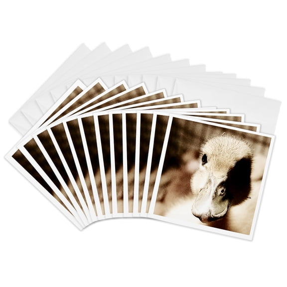 3drose, Duckling Digital Art by Angelandspot, 12 Greeting Cards with Envelopes