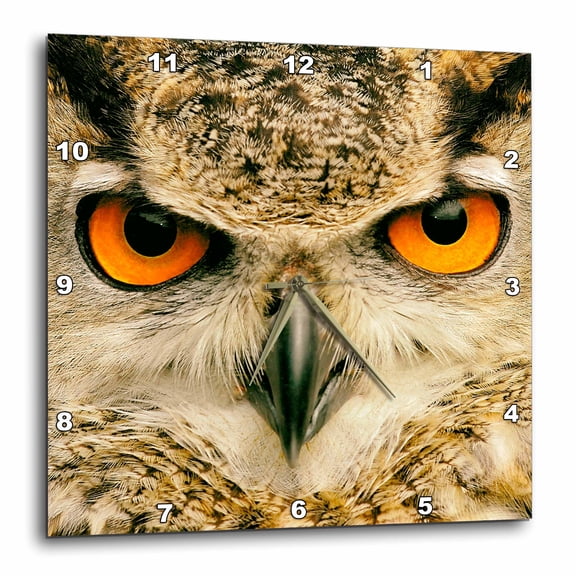 3drose, Eagle Owl (bubo Bubo) in Spain, 10x10 Wall Clock