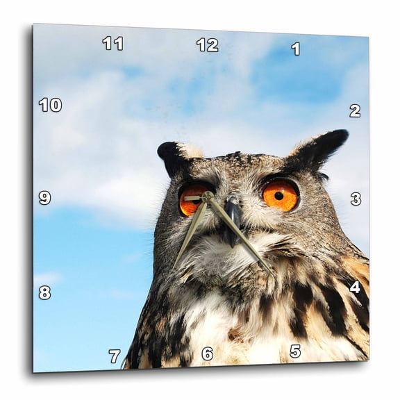3drose, Eagle Owl (bubo Bubo) in Spain, 10x10 Wall Clock