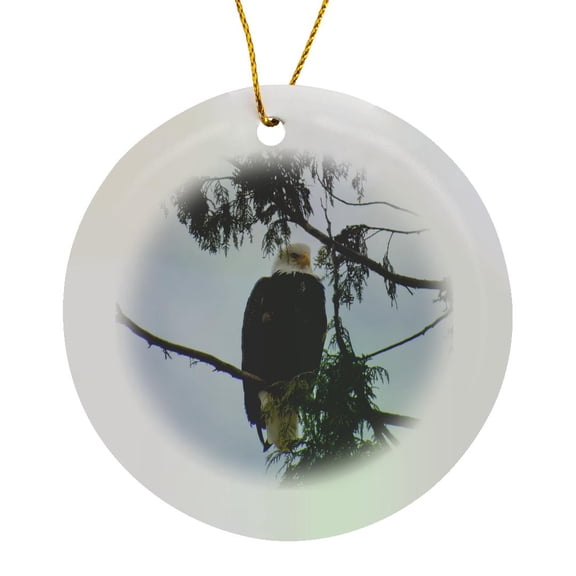 3drose, Eagle Sitting in a Tree, Circle Porcelain Ornament