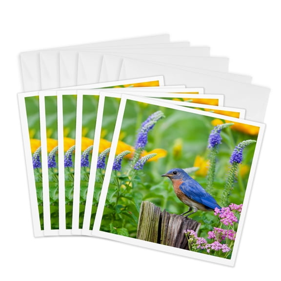 3drose, Eastern Bluebird on Fence Post in Flower Garden, Marion Co. Il, 6 Greeting Cards with Envelopes