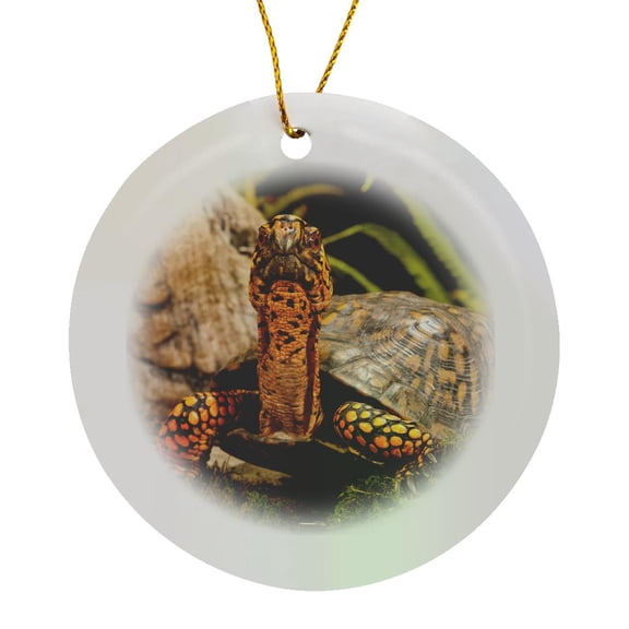 3drose, Eastern Box Turtle, Native to Eastern Coastal Us - Na02 Dno0860 - David Northcott, Circle Porcelain Ornament