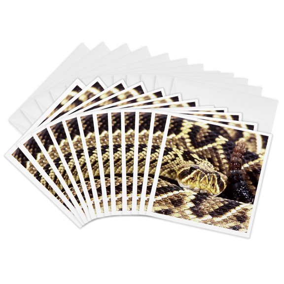 3drose, Eastern Diamondback Rattlesnake - Na02 Dno0421 - David Northcott, 12 Greeting Cards with Envelopes