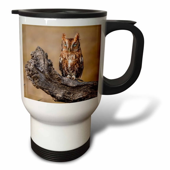 3drose, Eastern Screech Owl, Otus Asio, Roosting in Tree, 14oz Stainless Steel Travel Mug