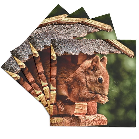 3drose, Eating Squirrel Sitting in a House Mammal Forest Animal, Set of 4 Ceramic Tile Coasters