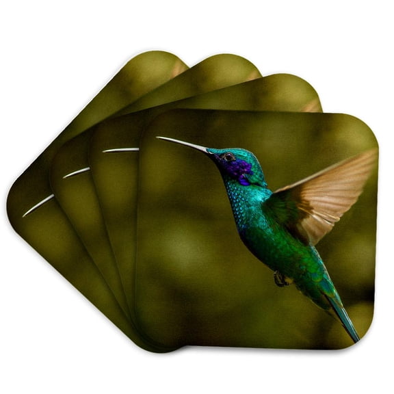 3drose, Ecuador, Galapagos, Nono. Sparkling Violet Ear Hummingbird., Set of 4 Coasters - Soft