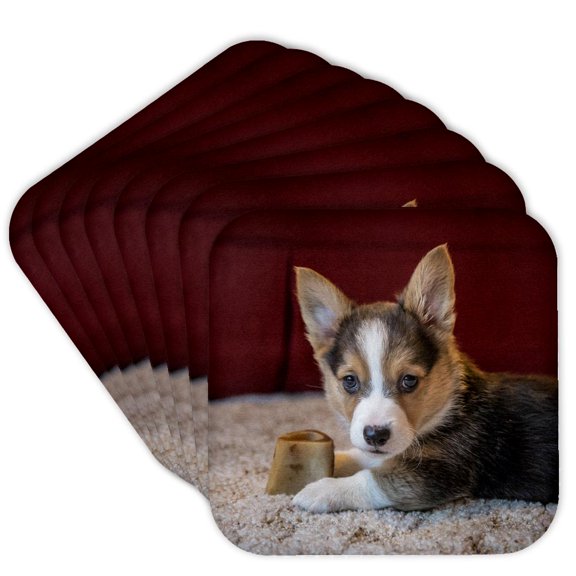 3drose, Eight Week Old Corgi Puppy Resting on the Carpet Guarding His Bone., Set of 8 Coasters - Cork