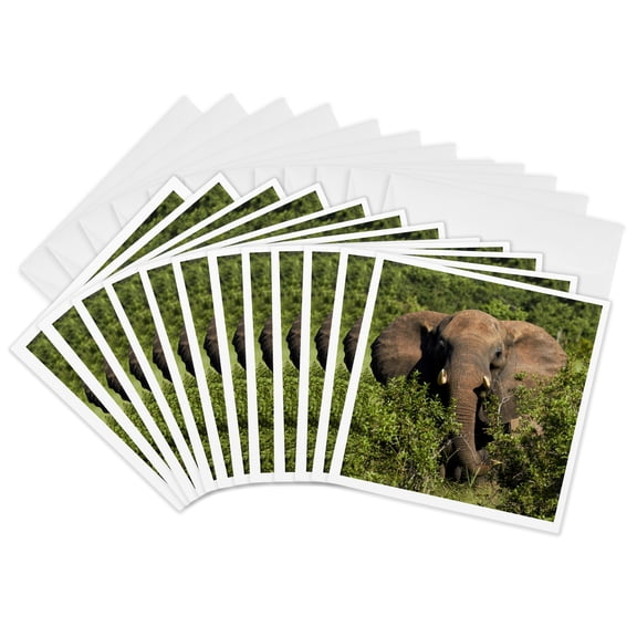 3drose, Elephant, Hwange Np, Zimbabwe, Africa, 12 Greeting Cards with Envelopes