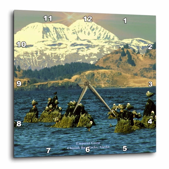 3drose, Emperor Geese Chiniak Bay Rocks, 15x15 Wall Clock