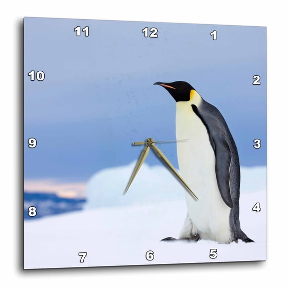 3drose, Emperor Penguin on Snow Hill Island, Antarctica-an02 Ksu0068 - Keren Su, 15x15 Wall Clock