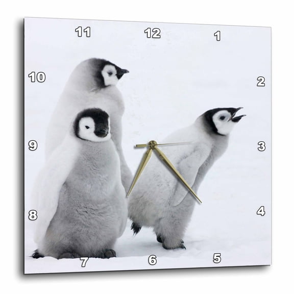 3drose, Emperor Penguins on Ice, Snow Hill Island, Antarctica-an02 Ksu0043 - Keren Su, 10x10 Wall Clock