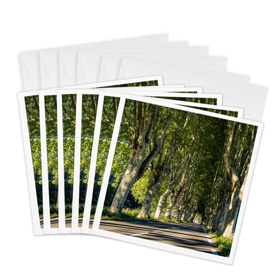 3drose, Empty Country Road Lined with Sycamore Trees in Provence, France., 6 Greeting Cards with Envelopes