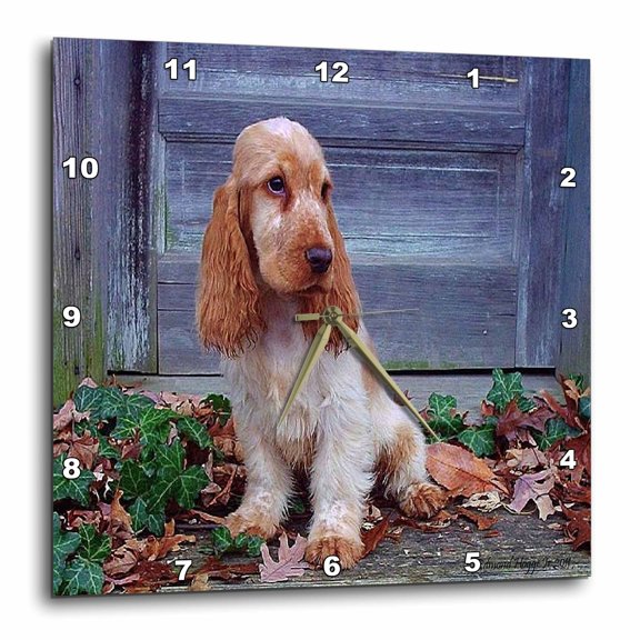 3drose, English Cocker Spaniel, 15x15 Wall Clock