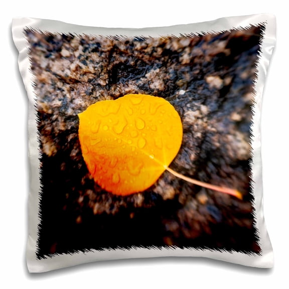 3drose, Fall Aspen Leaf Detail, Inyo Ntl Forest, Sierra Nevada Mtns, Ca, Usa, 16x16 inch Pillow Case