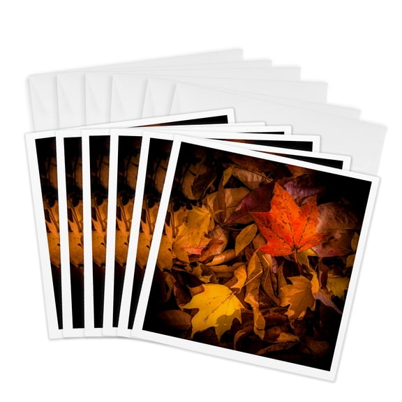 3drose, Fall Leaves on Forest Floor, 6 Greeting Cards with Envelopes