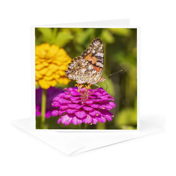 3drose, Fall Sassafras Trees, Stephen Forbes State Park, Marion County, Il., 1 Greeting Card with Envelope