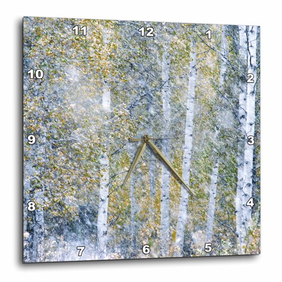 3drose, Fall Snowstorm, Aspen Trees, Grand Teton National Park, 10x10 Wall Clock
