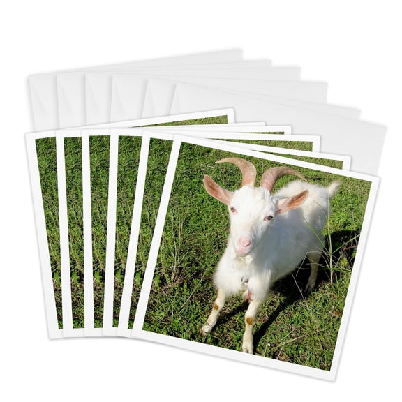3drose, Farm Animals Goat, 6 Greeting Cards with Envelopes