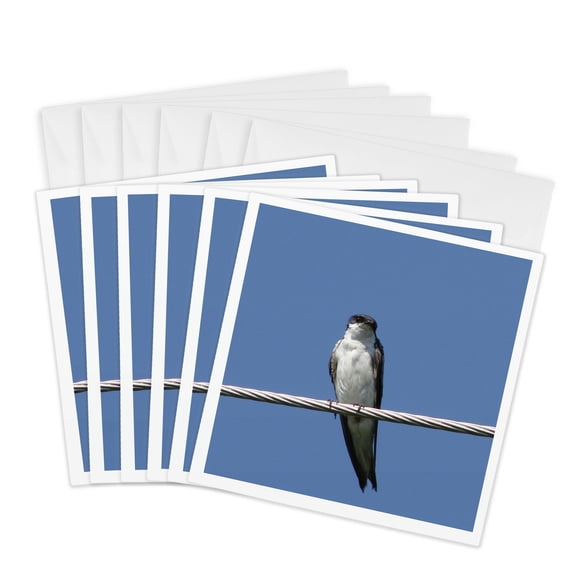 3drose, Female Barn Swallow Photography by Angelandspot, 6 Greeting Cards with Envelopes