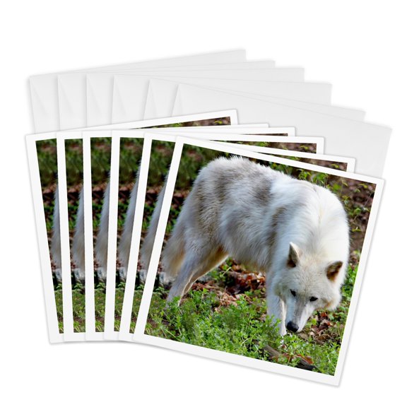 3drose, Female Gray Wolf a White Colored Female Gray Wolf, 6 Greeting Cards with Envelopes