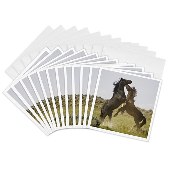 3drose, Feral Horses, Sagebrush Country, Wyoming - Us51 Ldi0057 - Larry Ditto, 12 Greeting Cards with Envelopes