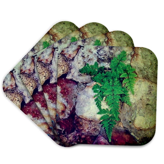 3drose, Fern and Geodes, Set of 4 Coasters - Soft