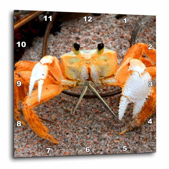 3drose, Fiddler Crab on Beach Colorized Orange Copy, 10x10 Wall Clock