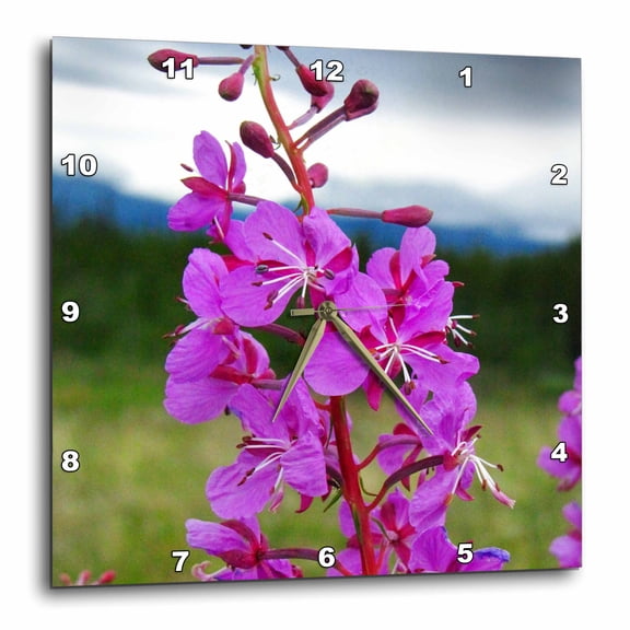 3drose, Fireweed the Flower of the Yukon Close Up, 15x15 Wall Clock