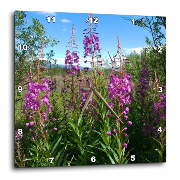 3drose, Fireweed the Flower of the Yukon Growing Tall, 15x15 Wall Clock