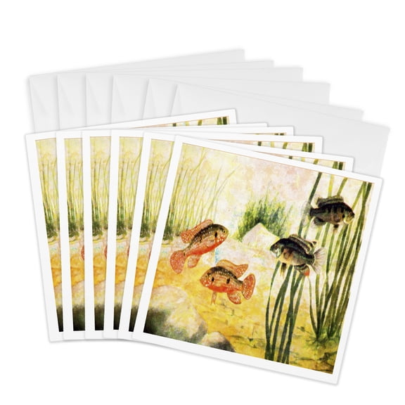 3drose, Fish in Aquarium, 6 Greeting Cards with Envelopes