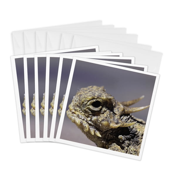 3drose, Flat-tailed Horned Lizard, Phrynosoma Mcalli, 6 Greeting Cards with Envelopes
