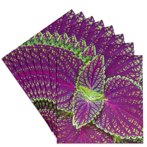 3drose, Florida. Coleus., Set of 8 Ceramic Tile Coasters