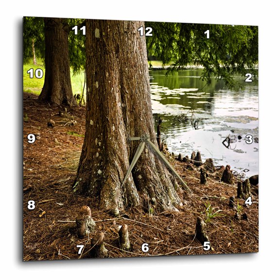 3drose, Florida Cypress Tree, 15x15 Wall Clock
