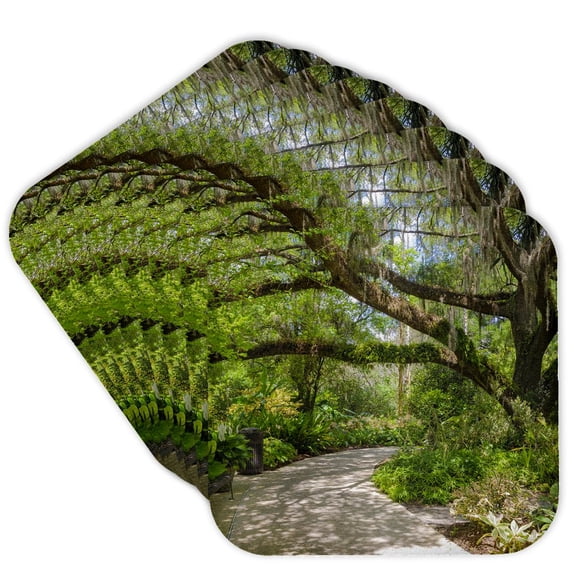 3drose, Florida. Garden with Palm Trees and Live Oak Covered in Spanish Moss., Set of 8 Coasters - Soft