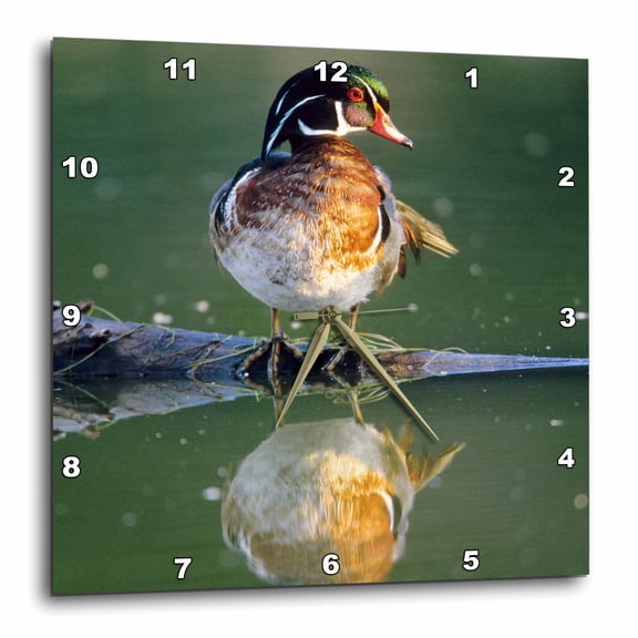 3drose, Florida. Wood Duck on Sunken Log in Water - Us10 Bja0175 - Jaynes Gallery, 15x15 Wall Clock