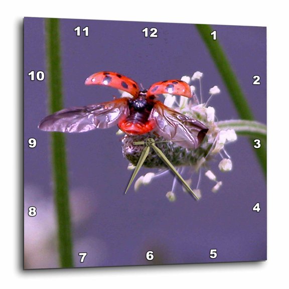 3drose, Fly Away Home, Lady Bug, 15x15 Wall Clock