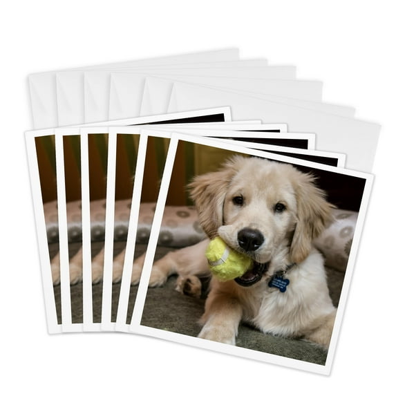 3drose, Four Month Old Golden Retriever Puppy Chewing on a Tennis Ball., 6 Greeting Cards with Envelopes