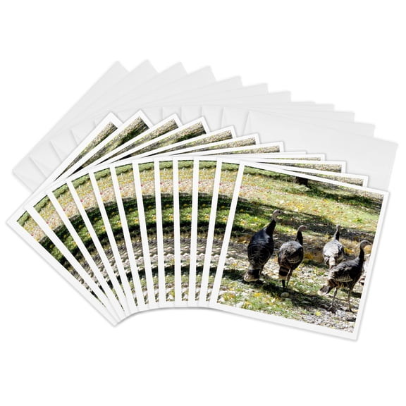 3drose, Four Turkeys Awaiting There Fate for Thanksgiving Day, 12 Greeting Cards with Envelopes