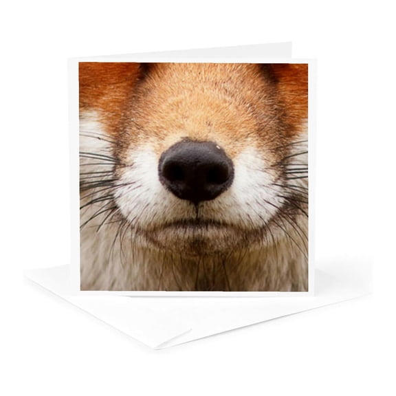 3drose, Fox Mask, 1 Greeting Card with Envelope