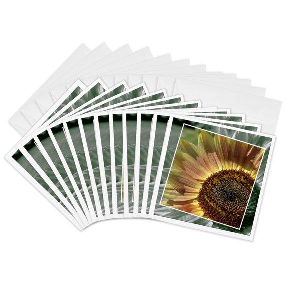 3drose, Framed Autumn Sunflower- Yellow Flowers- Photography, 12 Greeting Cards with Envelopes
