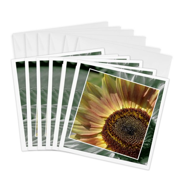 3drose, Framed Autumn Sunflower- Yellow Flowers- Photography, 6 Greeting Cards with Envelopes
