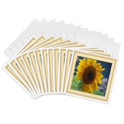 3drose, Framed Giant Sunflower, 12 Greeting Cards with Envelopes