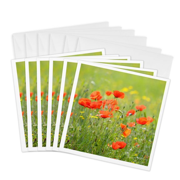 3drose, France, Provence, Cote Dazur, Lourmarin. Wild Poppies, 6 Greeting Cards with Envelopes