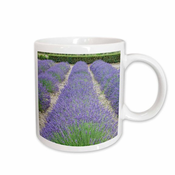 3drose, France, Provence. Hayfield Sunrise Near Sault, 11oz Mug