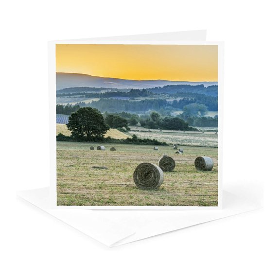 3drose, France, Provence. Lavender Field Near Sault., 1 Greeting Card with Envelope