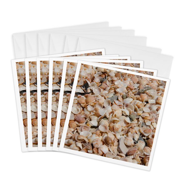 3drose, French West Indies, Shell Beach. Detail of Shell Covered Beach., 6 Greeting Cards with Envelopes